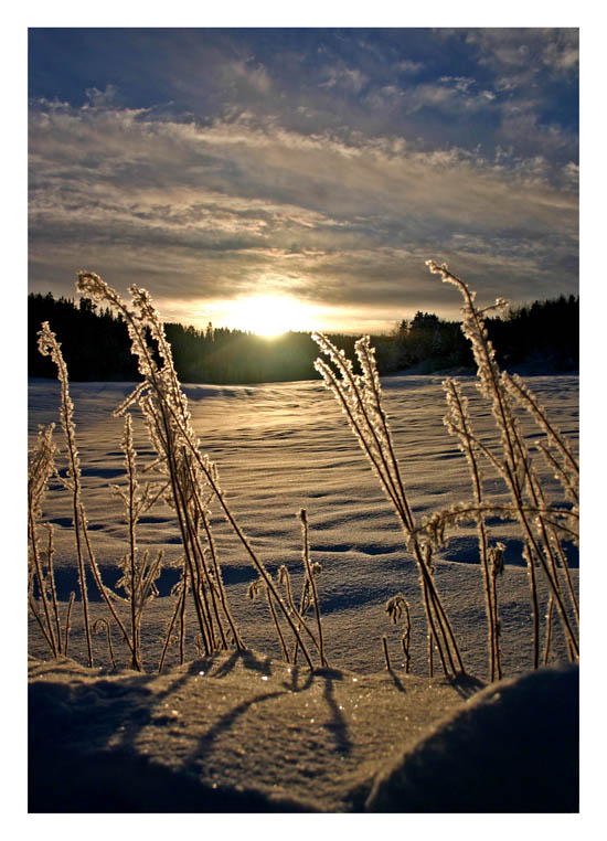 фото "Frosen day" метки: пейзаж, зима