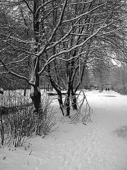 photo "Snow etude" tags: landscape, winter
