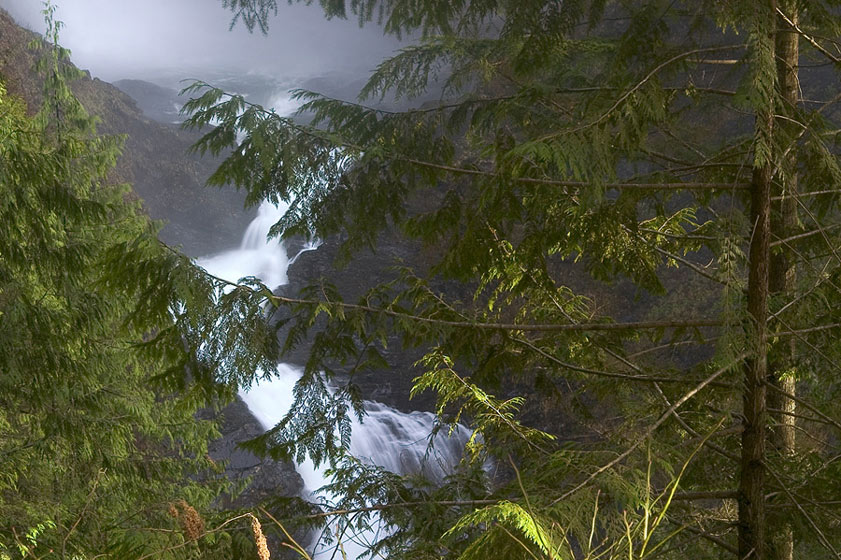 photo "neverending" tags: landscape, forest, water