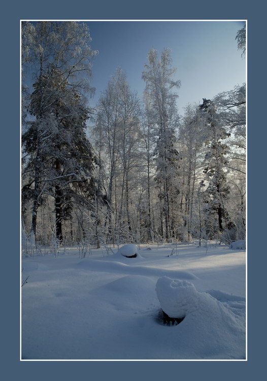 фото "Морозно" метки: пейзаж, зима