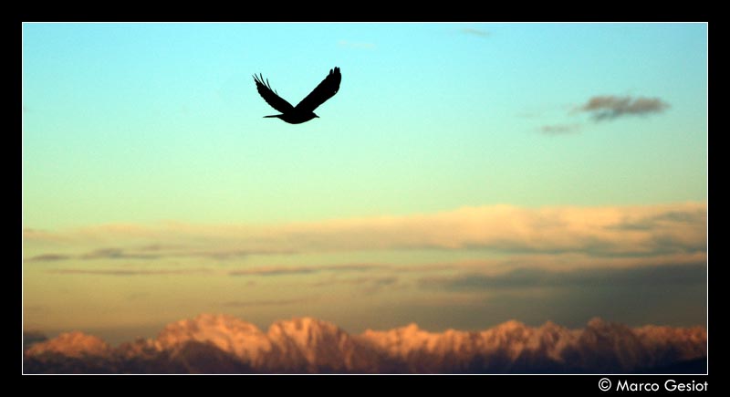 photo "freedom" tags: nature, 