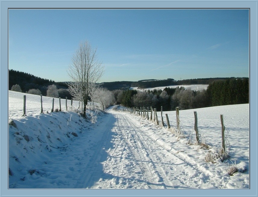 фото "вокруг такая тишина" метки: пейзаж, природа, зима