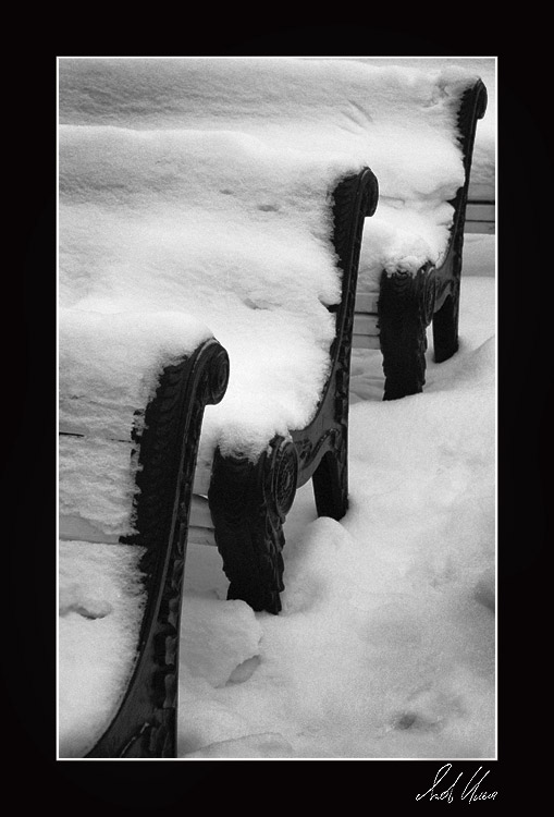 фото "Мелодия декабря" метки: пейзаж, черно-белые, зима