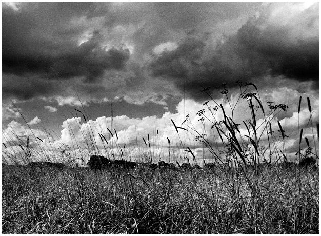 фото "clouds and grass" метки: природа, 