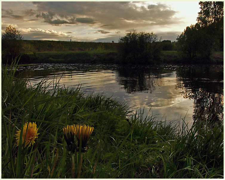 photo "Sunset for two flowers" tags: nature, landscape, flowers, sunset