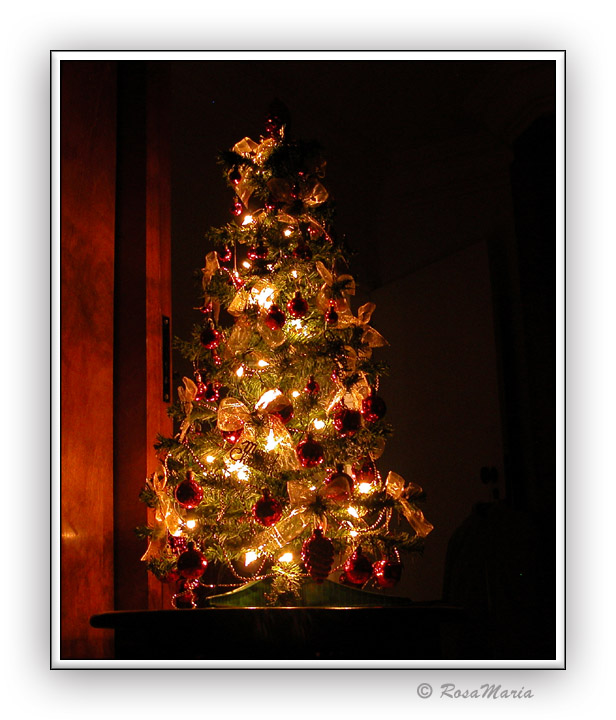 photo "Christmas Time #2" tags: misc., 