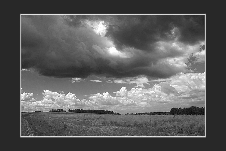 photo "Before a thunder-storm" tags: landscape, clouds, summer