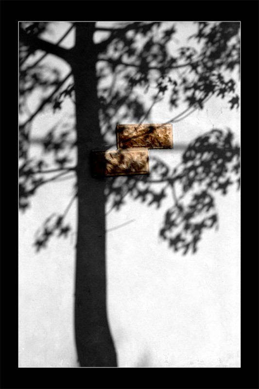 photo "The last pieces of an older pride" tags: misc., 