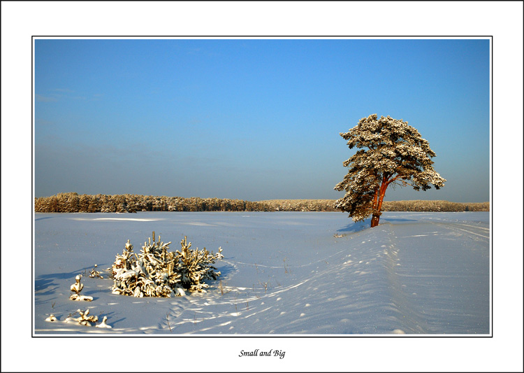 photo "Small & Big" tags: misc., landscape, winter