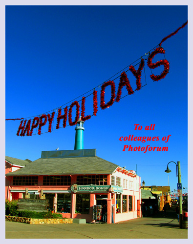 photo "Happy Holidays" tags: misc., 