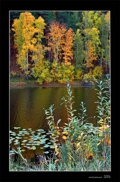 photo "Autumn etude" tags: misc., landscape, autumn