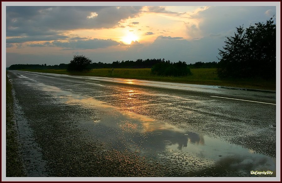фото "after rain..." метки: пейзаж, лето