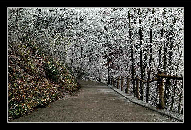 фото "Путь в зимнюю сказку" метки: пейзаж, зима, лес