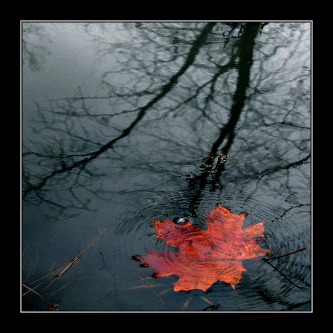 фото "Autumn" метки: пейзаж, природа, осень