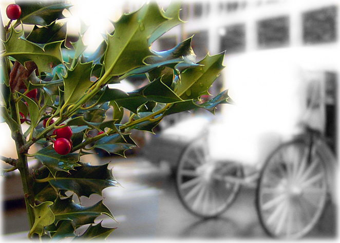 фото "Season`s Greetings" метки: разное, 