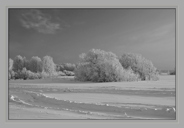 photo "Winter landscape" tags: black&white, 