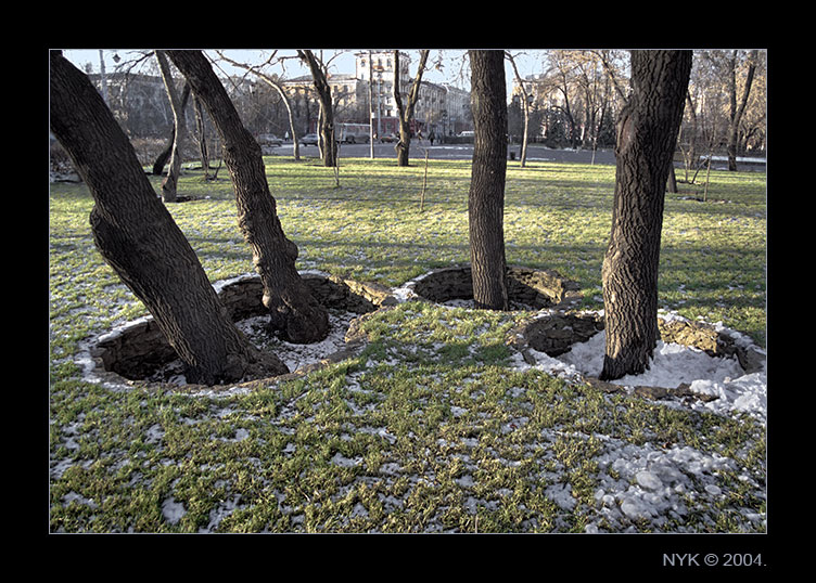 photo "Wood hairs of the park. HEAD&SHOLDERS will help U" tags: landscape, architecture, autumn