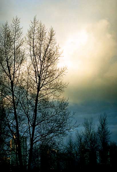 фото "the Rall Sky" метки: пейзаж, закат, облака