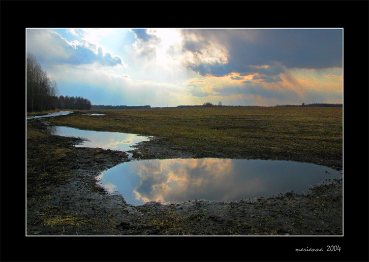 фото "Spring puddle" метки: пейзаж, весна, вода