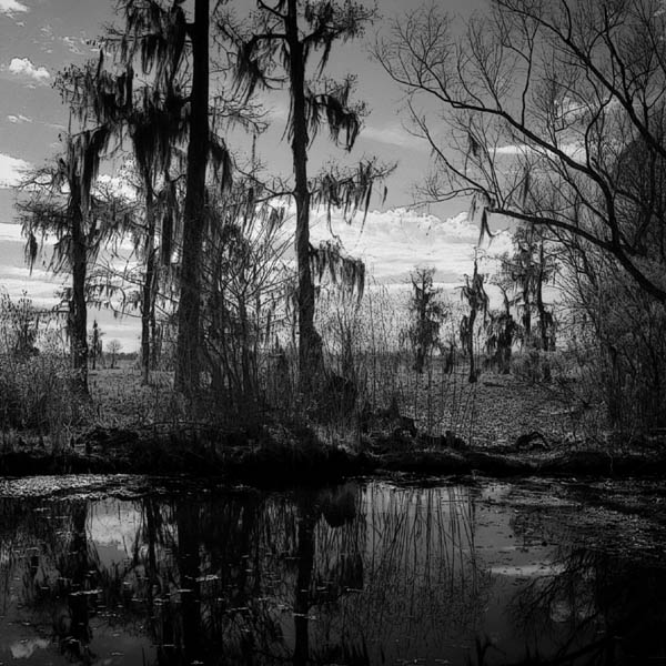 фото "Louisiana Swamp" метки: пейзаж, природа, 