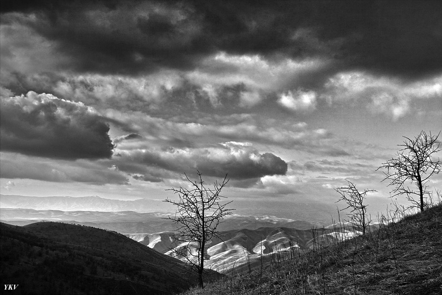 photo "Windswept" tags: landscape, mountains