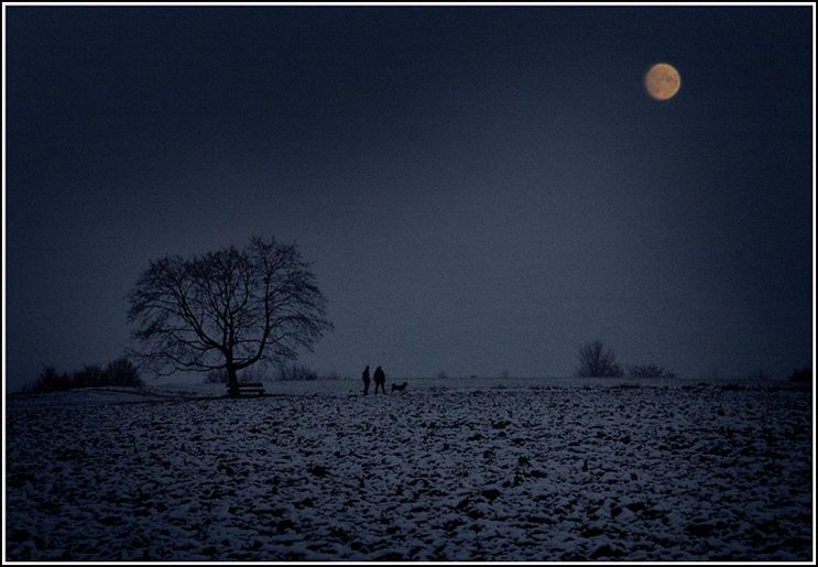 photo "Nightwalk" tags: landscape, night