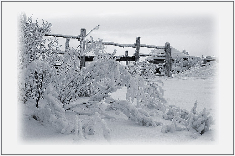 photo "Winter`s picture" tags: landscape, winter