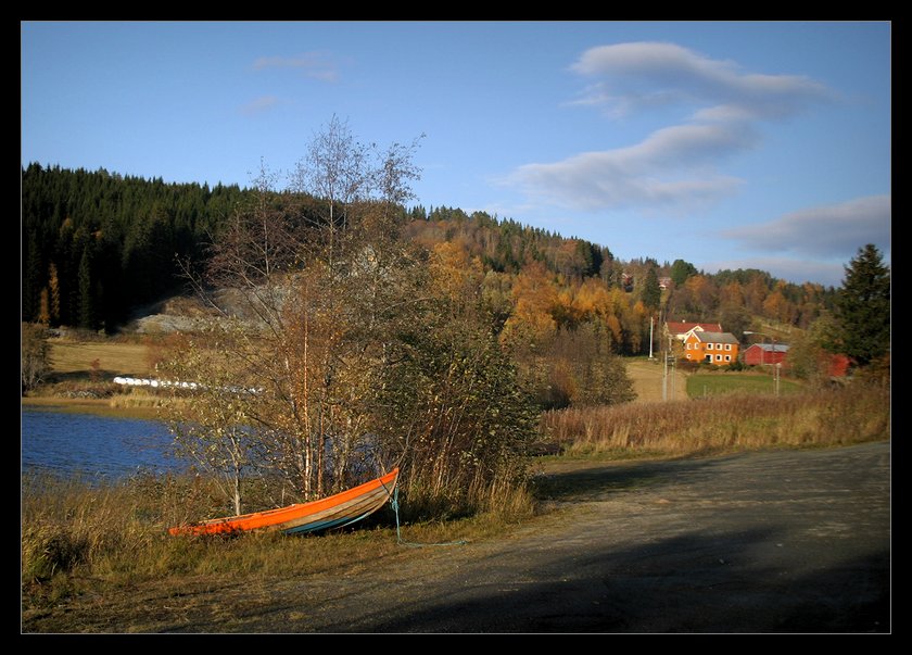 photo "**" tags: landscape, forest, summer