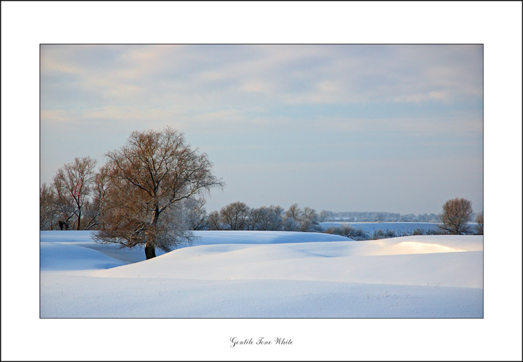 photo "Gentile Tone White" tags: misc., landscape, winter