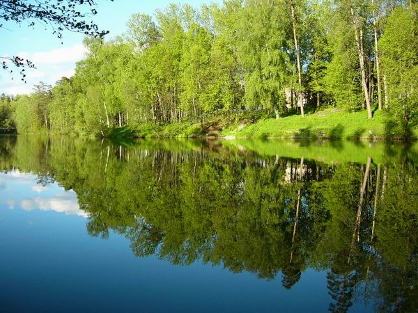 photo "Mirror, mirror..." tags: landscape, forest, water