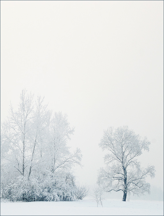 photo "Winter etude" tags: landscape, winter