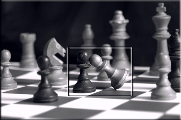photo "Chess" tags: black&white, macro and close-up, 