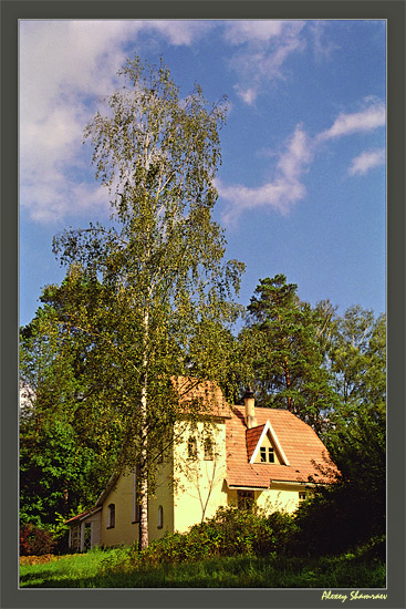 photo "Сountry estate "Polenovo" #2" tags: landscape, summer