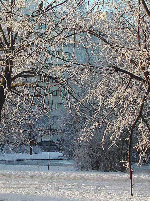 photo "Beautiful day" tags: landscape, winter