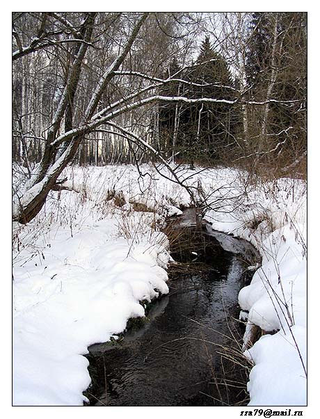 photo "В тишине..." tags: landscape, winter