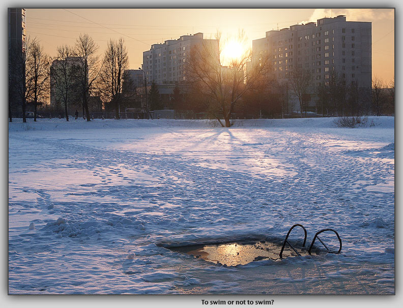 photo "To swim or not to swim?" tags: misc., 