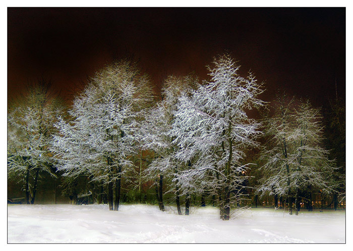 фото "C новым годом" метки: пейзаж, зима