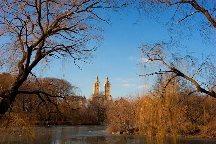 photo "San Remo Apartments" tags: landscape, autumn