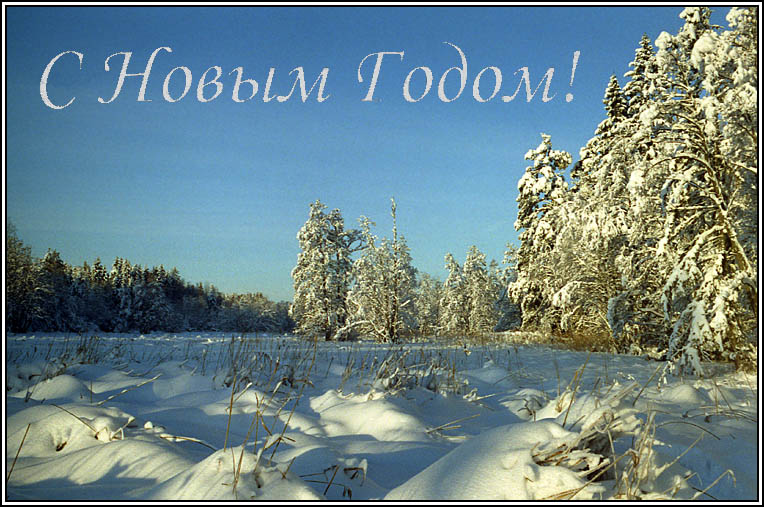 photo "Happy New Year!" tags: landscape, winter