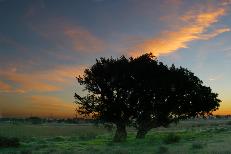 photo "Sunrise" tags: landscape, sunset