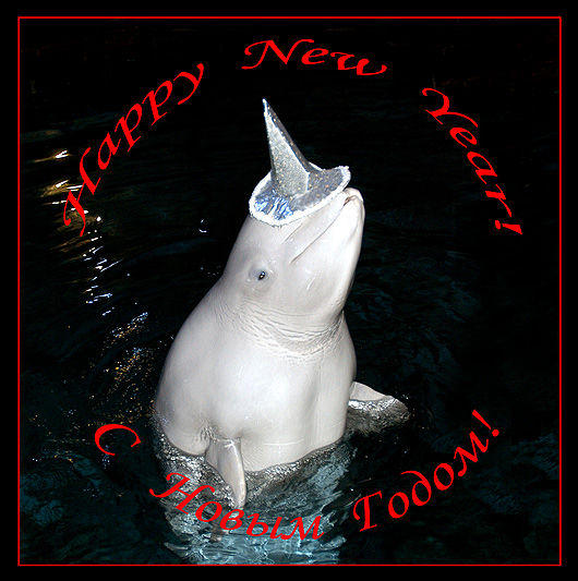 photo "Happy New Year!" tags: misc., 