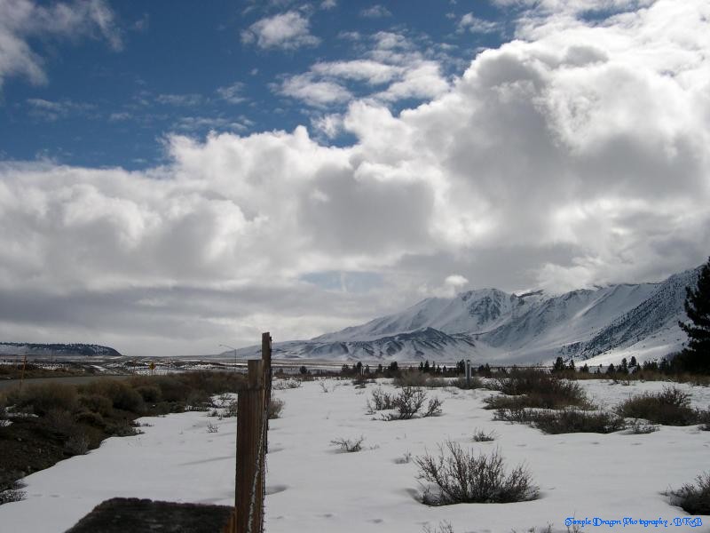 photo "A view down the fenceline!" tags: landscape, travel, North America, winter