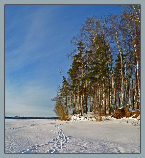 фото "Солнечная зимняя картинка" метки: пейзаж, зима, лес