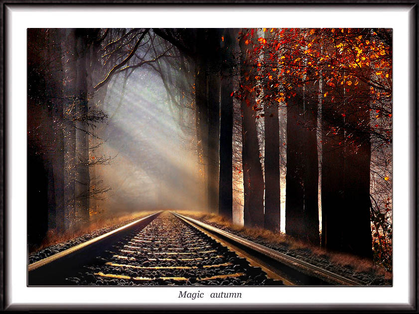 photo "Magic autumn" tags: misc., montage, 