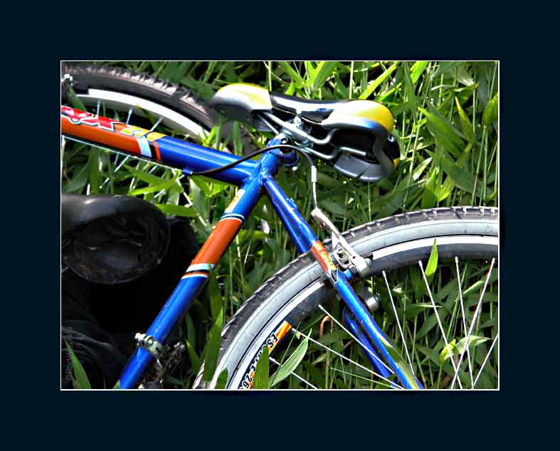 photo "Bike 2005" tags: misc., 