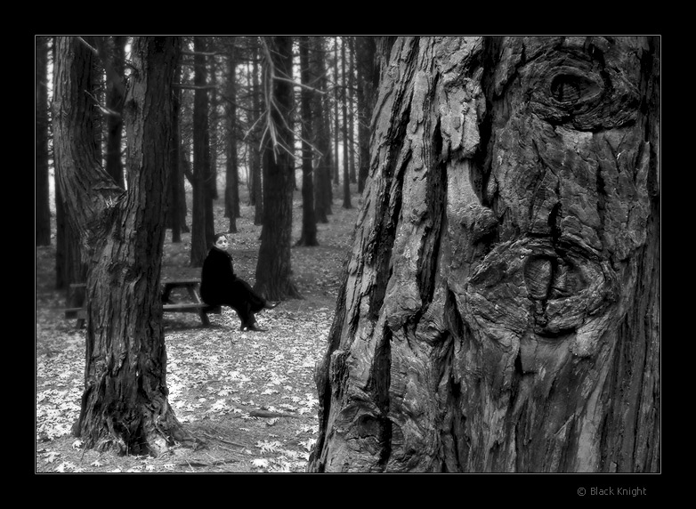 фото "Watching You !" метки: пейзаж, черно-белые, лес