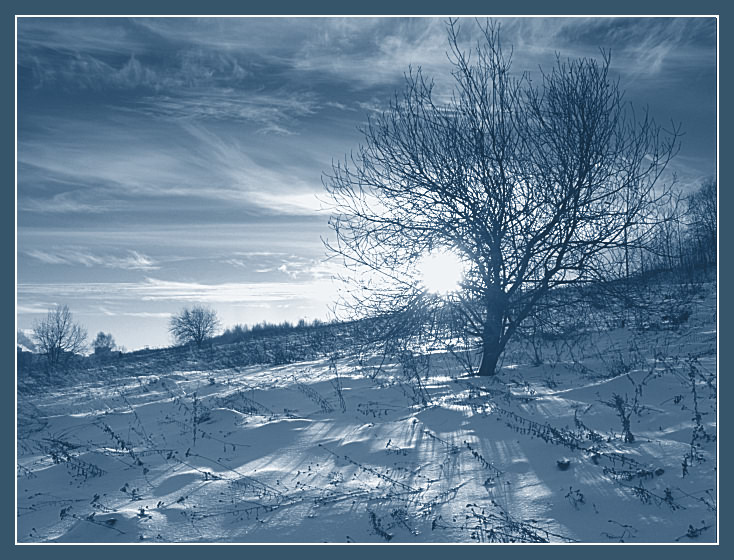 photo "****" tags: landscape, winter