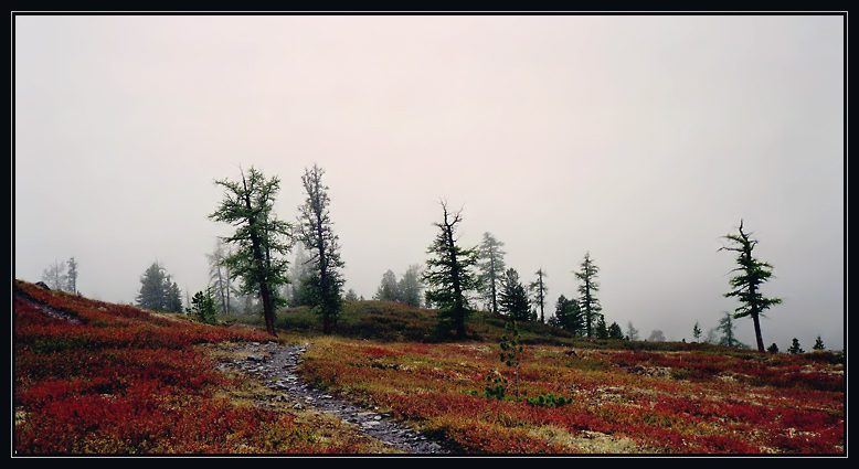 photo "Altai (20)" tags: landscape, travel, Asia, mountains