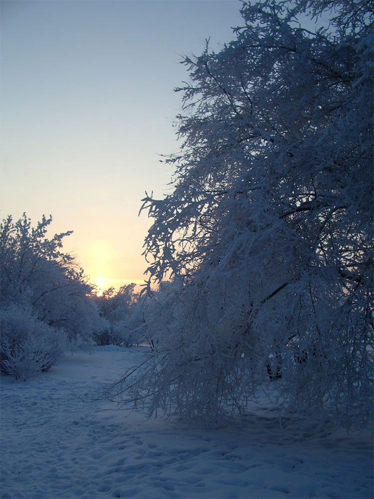 фото "закат" метки: пейзаж, зима