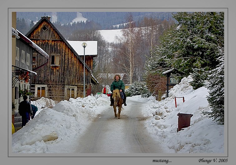 photo "... mustang ..." tags: nature, glamour, pets/farm animals